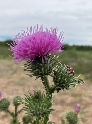Conocé toda la programación