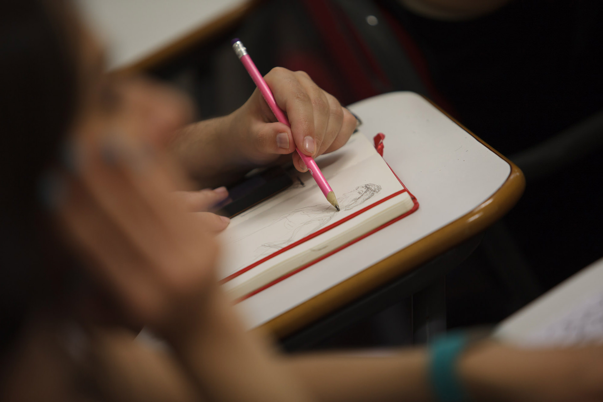 TALLER DE ILUSTRACIÓN. La cabeza en el seto