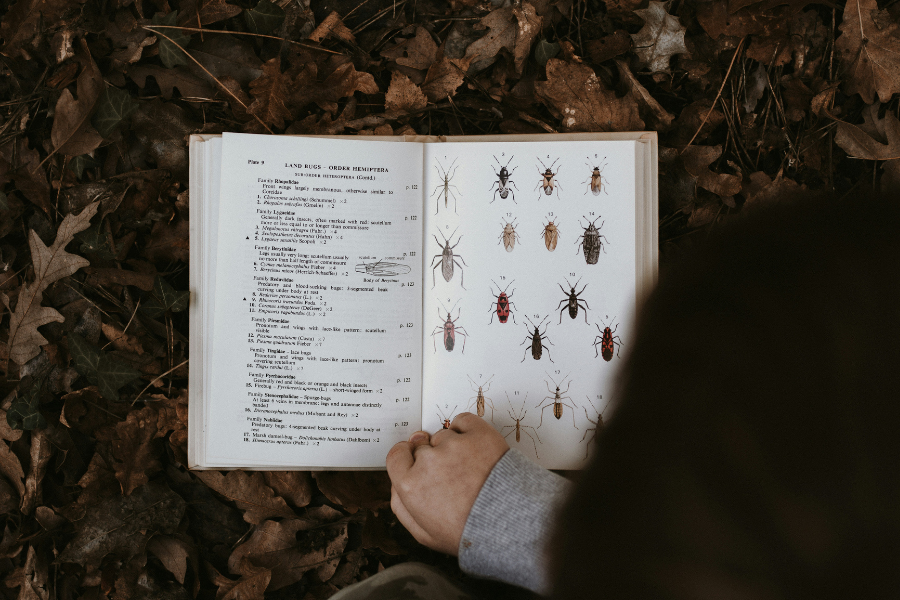 Taller de creación: leyendo a los naturalistas